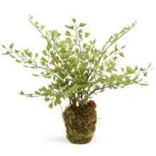 Load image into Gallery viewer, faux maidenhair drop-in plant