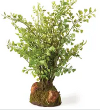 Load image into Gallery viewer, faux maidenhair drop-in plant
