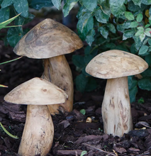 Load image into Gallery viewer, teak tree root mushroom