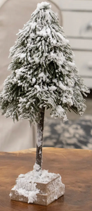 weeping pine tree snowy