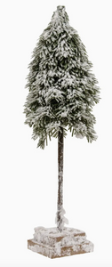 weeping pine tree snowy