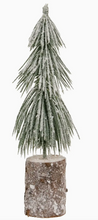 Load image into Gallery viewer, long needle pine tree