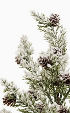 Load image into Gallery viewer, flocked bristle pine tree