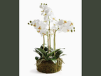 20" faux phalaenopsis orchid bowl