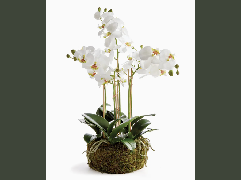 20" faux phalaenopsis orchid bowl