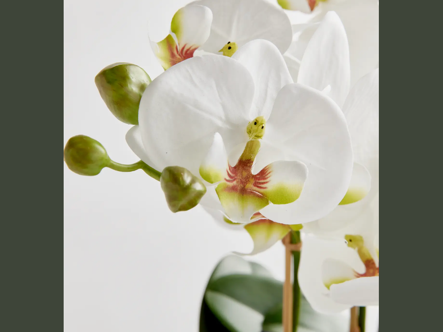 20" faux phalaenopsis orchid bowl