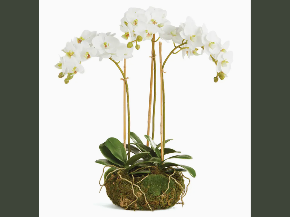 16" faux triple mini phalaenopsis orchid