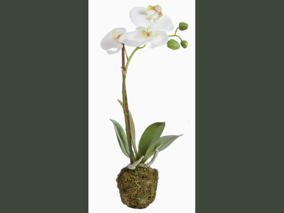 15" faux phalaenopsis orchid plant