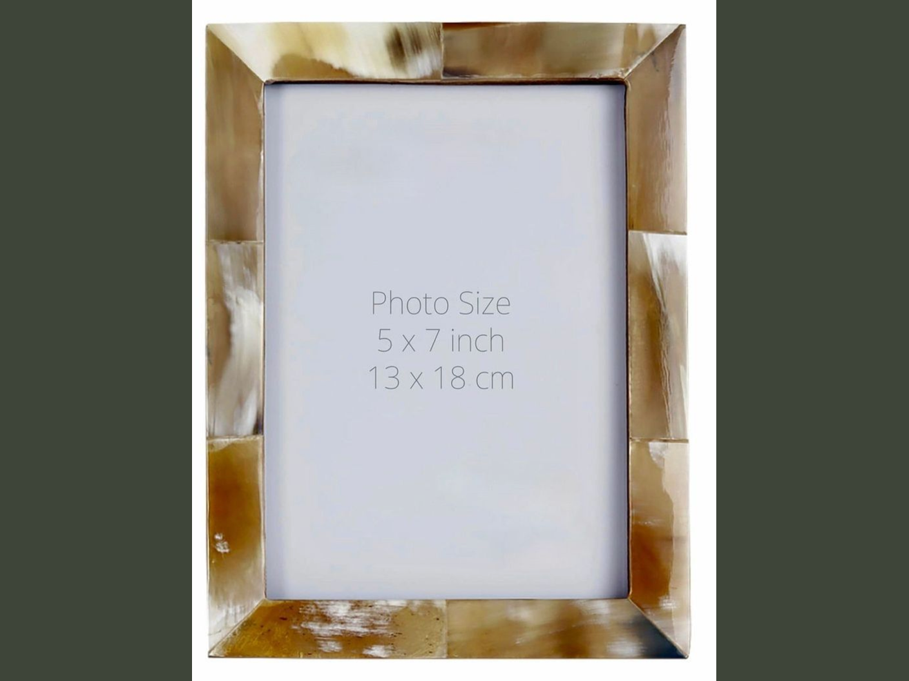 white horn photo frame