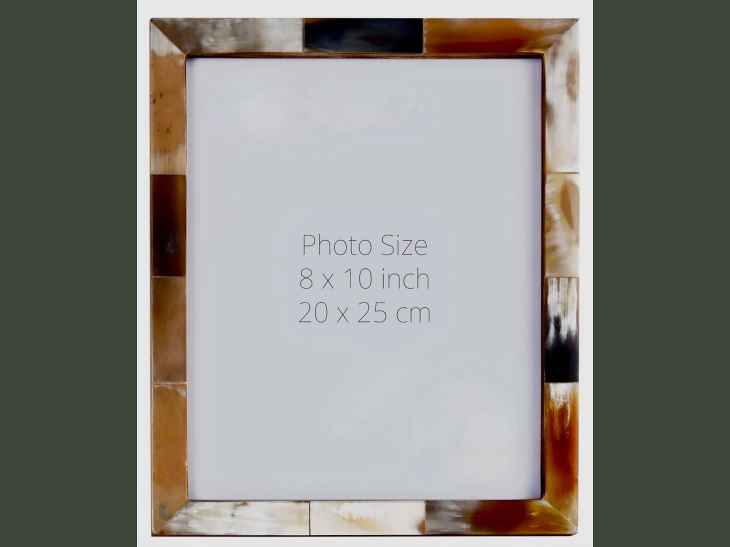 white horn photo frame