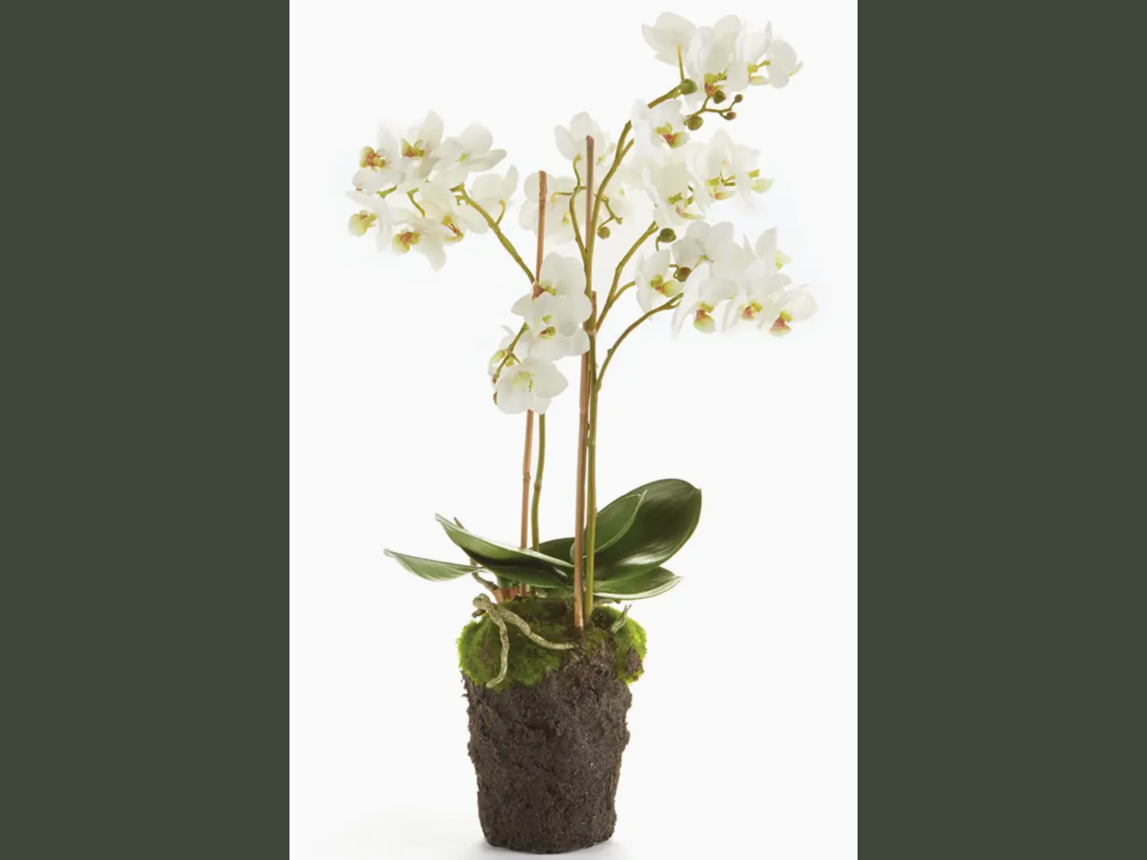 20"faux branchy phalaenopsis orchid