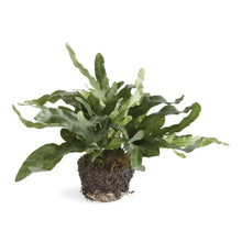 Load image into Gallery viewer, faux echeveria fern drop-in
