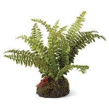 Load image into Gallery viewer, faux boston fern drop in plant