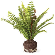 Load image into Gallery viewer, faux boston fern drop in plant
