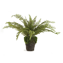 Load image into Gallery viewer, boston fern 16 inch