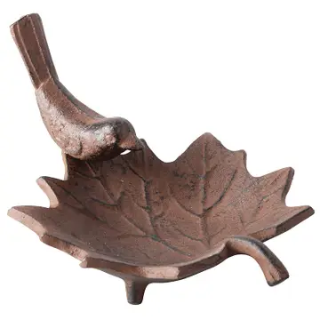 bird bath/feeder on leaf