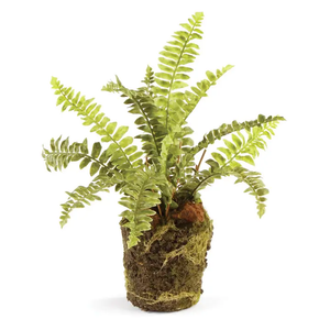 faux boston fern drop in plant