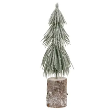 Load image into Gallery viewer, long needle pine tree