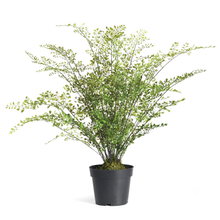 Load image into Gallery viewer, large faux maidenhair drop in plant